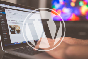 WordPress - Débuter avec WordPress